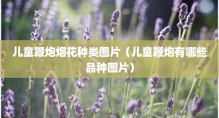 儿童鞭炮烟花种类图片（儿童鞭炮有哪些品种图片）