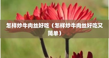 怎样炒牛肉丝好吃（怎样炒牛肉丝好吃又简单）