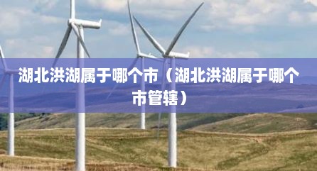 湖北洪湖属于哪个市（湖北洪湖属于哪个市管辖）