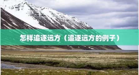 怎样追逐远方（追逐远方的例子）