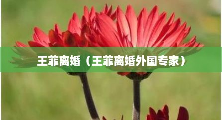 王菲离婚（王菲离婚外国专家）