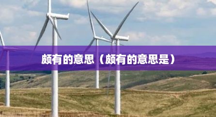 颇有的意思（颇有的意思是）