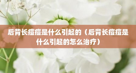 后背长痘痘是什么引起的（后背长痘痘是什么引起的怎么治疗）