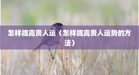 怎样提高贵人运（怎样提高贵人运势的方法）