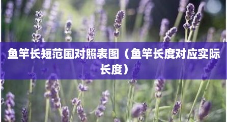 鱼竿长短范围对照表图（鱼竿长度对应实际长度）