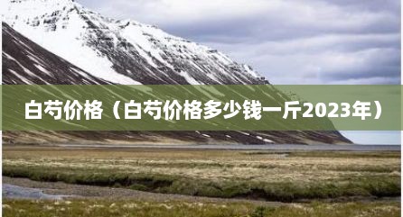 白芍价格（白芍价格多少钱一斤2023年）