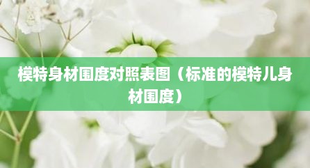 模特身材围度对照表图（标准的模特儿身材围度）