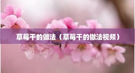 草莓干的做法（草莓干的做法视频）