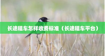 长途租车怎样收费标准（长途租车平台）