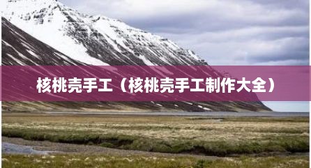 核桃壳手工（核桃壳手工制作大全）