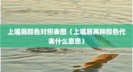 上嘴唇颜色对照表图（上嘴唇两种颜色代表什么意思）