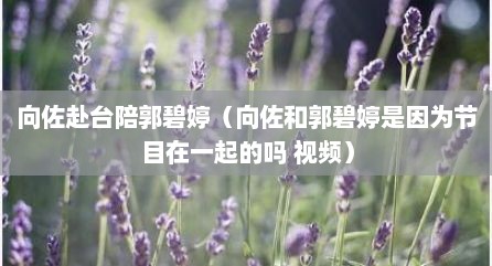 向佐赴台陪郭碧婷（向佐和郭碧婷是因为节目在一起的吗 视频）