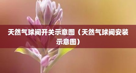 天然气球阀开关示意图（天然气球阀安装示意图）