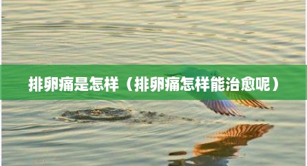 排卵痛是怎样（排卵痛怎样能治愈呢）