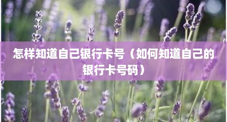 怎样知道自己银行卡号（如何知道自己的银行卡号码）