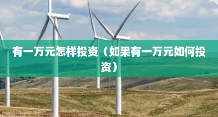 有一万元怎样投资（如果有一万元如何投资）
