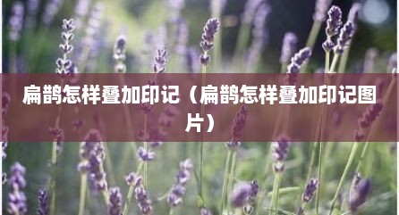 扁鹊怎样叠加印记（扁鹊怎样叠加印记图片）