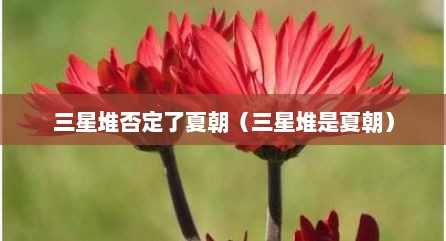 三星堆否定了夏朝（三星堆是夏朝）