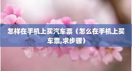 怎样在手机上买汽车票（怎么在手机上买车票,求步骤）