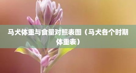 马犬体重与食量对照表图（马犬各个时期体重表）