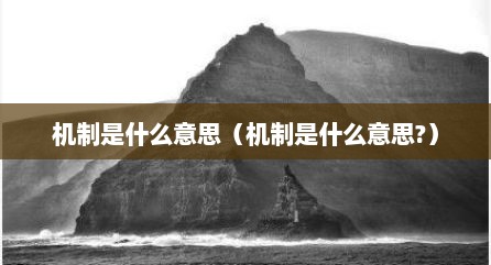 机制是什么意思（机制是什么意思?）
