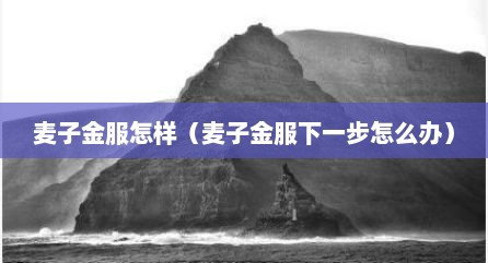麦子金服怎样（麦子金服下一步怎么办）