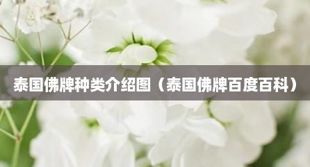 泰国佛牌种类介绍图（泰国佛牌百度百科）