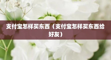 支付宝怎样买东西（支付宝怎样买东西给好友）