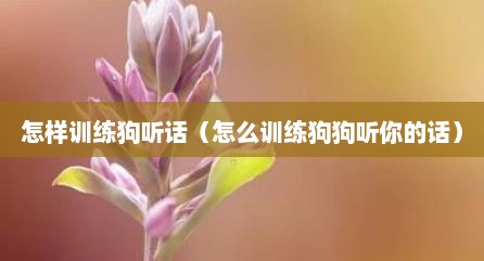 怎样训练狗听话（怎么训练狗狗听你的话）