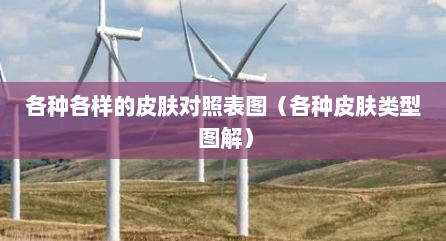 各种各样的皮肤对照表图（各种皮肤类型 图解）