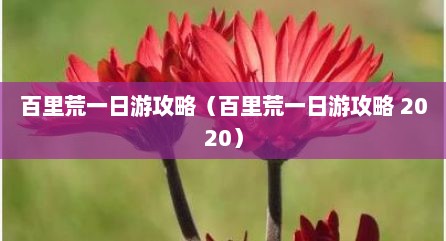 百里荒一日游攻略（百里荒一日游攻略 2020）