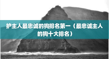 护主人最忠诚的狗排名第一（最忠诚主人的狗十大排名）