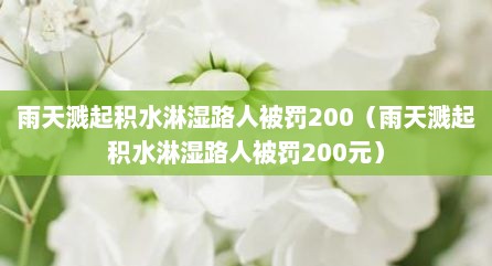 雨天溅起积水淋湿路人被罚200（雨天溅起积水淋湿路人被罚200元）