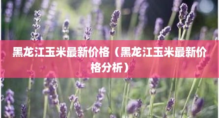 黑龙江玉米最新价格（黑龙江玉米最新价格分析）