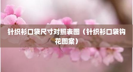 针织衫口袋尺寸对照表图（针织衫口袋钩花图案）