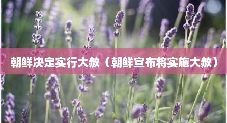 朝鲜决定实行大赦（朝鲜宣布将实施大赦）