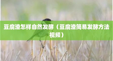 豆腐渣怎样自然发酵（豆腐渣简易发酵方法视频）