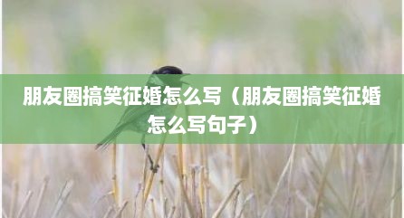 朋友圈搞笑征婚怎么写（朋友圈搞笑征婚怎么写句子）