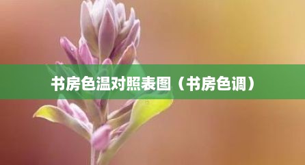书房色温对照表图（书房色调）
