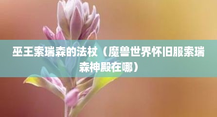 巫王索瑞森的法杖（魔兽世界怀旧服索瑞森神殿在哪）