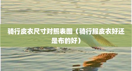 骑行皮衣尺寸对照表图（骑行服皮衣好还是布的好）