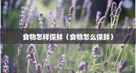 食物怎样保鲜（食物怎么保鲜）