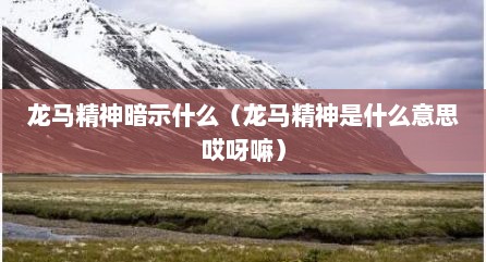 龙马精神暗示什么（龙马精神是什么意思哎呀嘛）