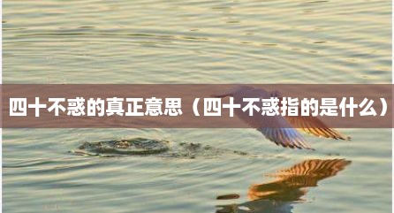 四十不惑的真正意思（四十不惑指的是什么）