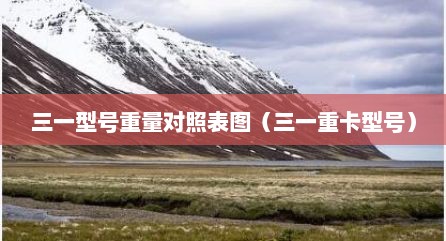 三一型号重量对照表图（三一重卡型号）