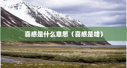 喜感是什么意思（喜感是啥）