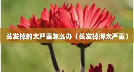 头发掉的太严重怎么办（头发掉得太严重）