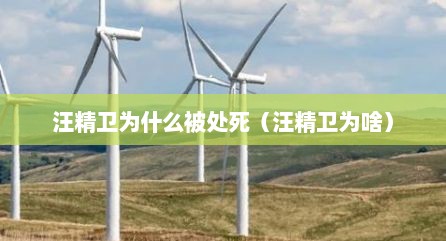 汪精卫为什么被处死（汪精卫为啥）
