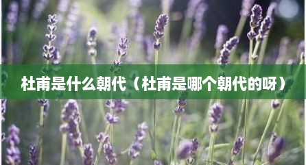 杜甫是什么朝代（杜甫是哪个朝代的呀）