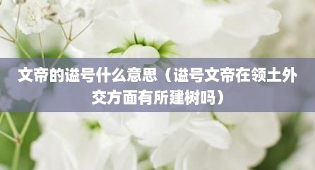 文帝的谥号什么意思（谥号文帝在领土外交方面有所建树吗）
